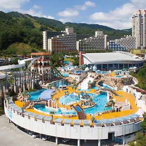 Phoenix Hotel Pyeongchang